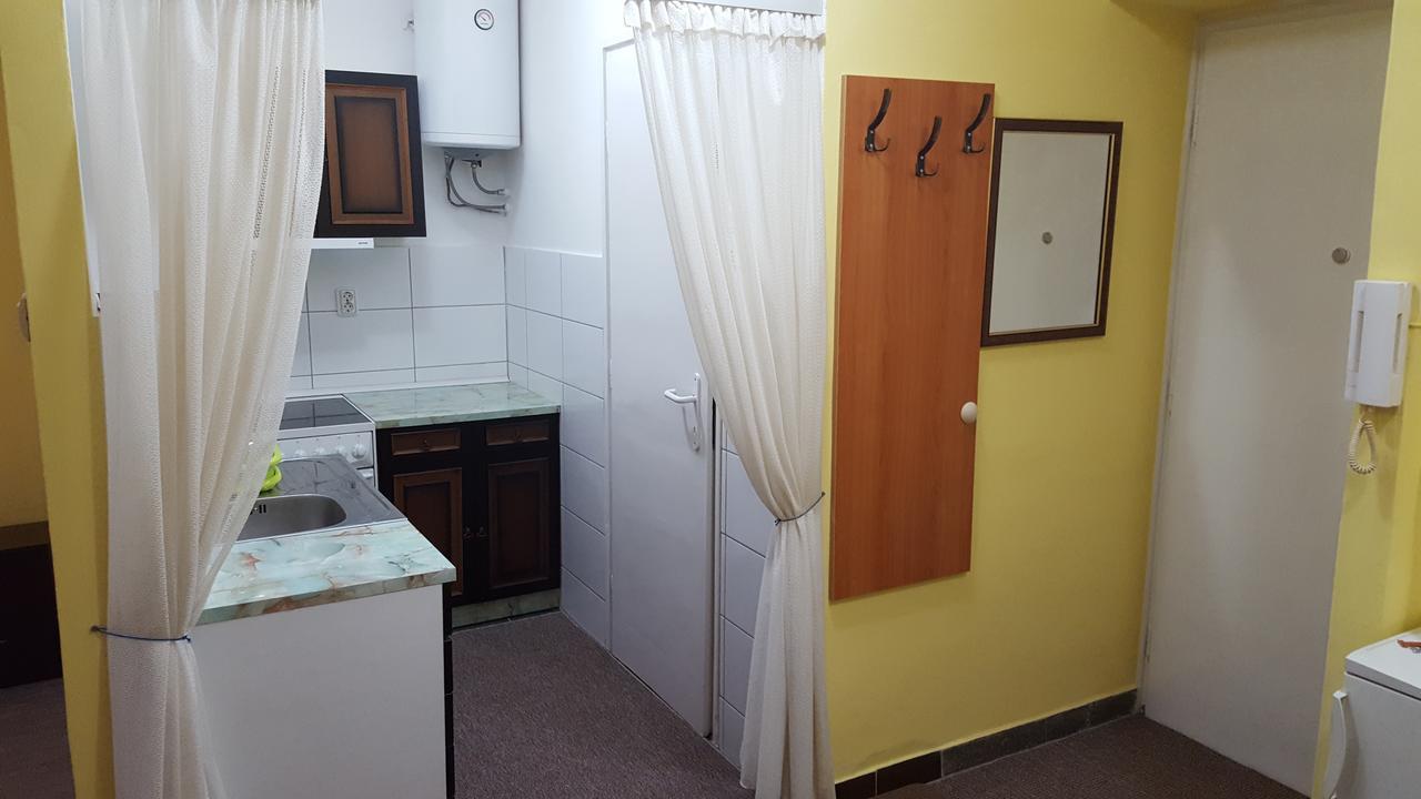 Apartment Roxana Centar Újvidék Kültér fotó