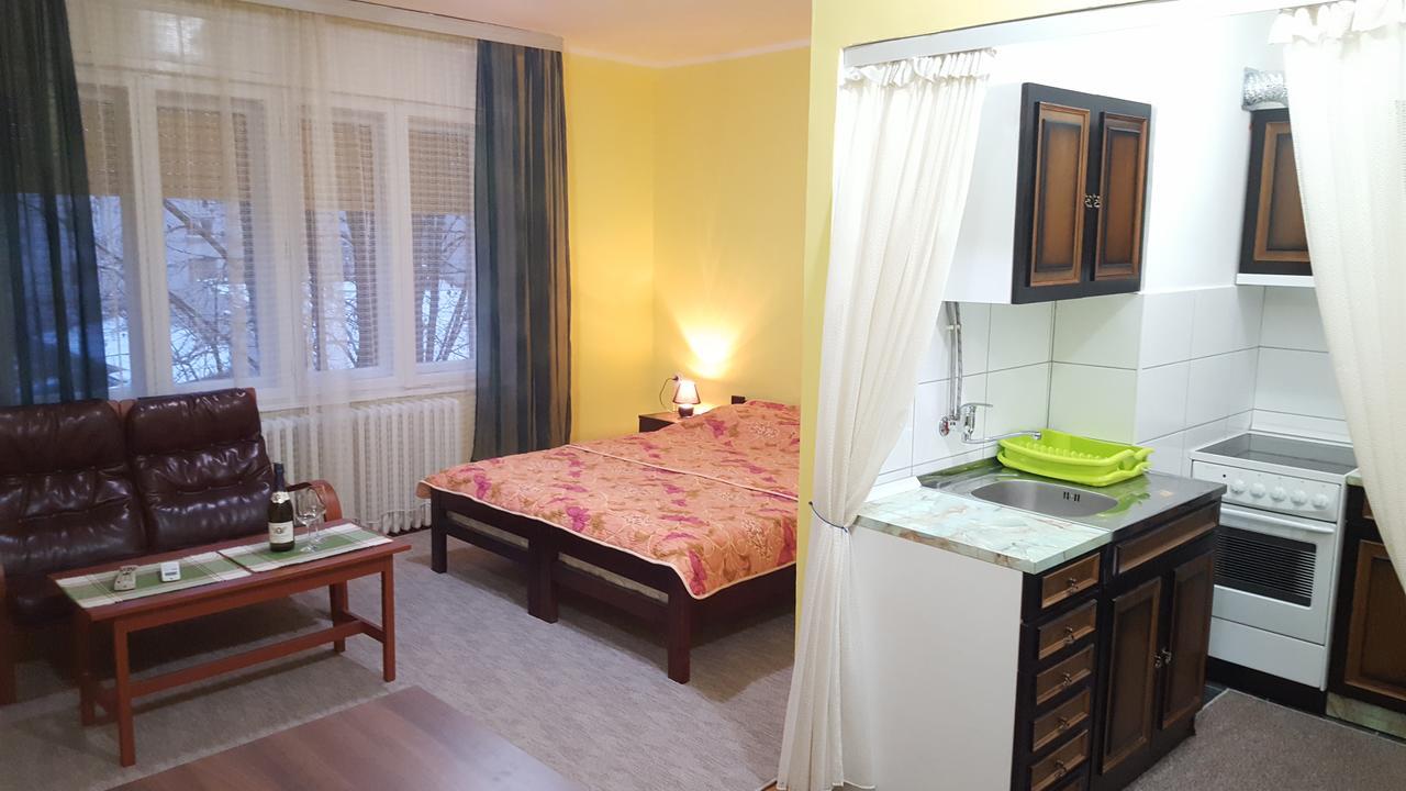 Apartment Roxana Centar Újvidék Kültér fotó