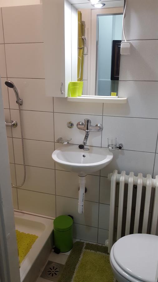 Apartment Roxana Centar Újvidék Kültér fotó