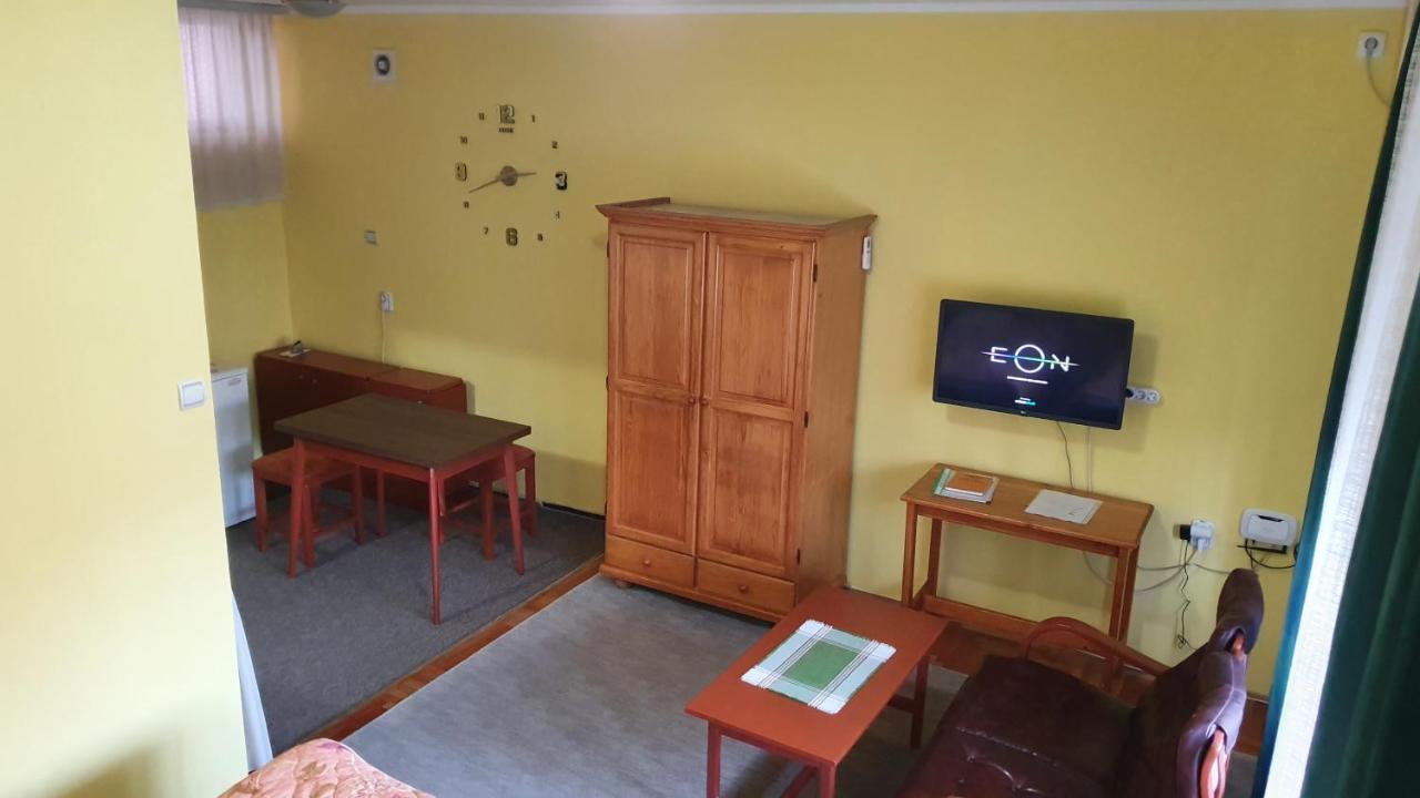 Apartment Roxana Centar Újvidék Kültér fotó